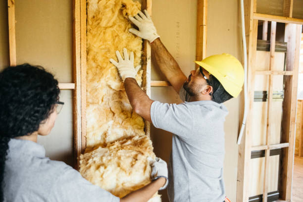 Best Cellulose Insulation  in Piqua, OH